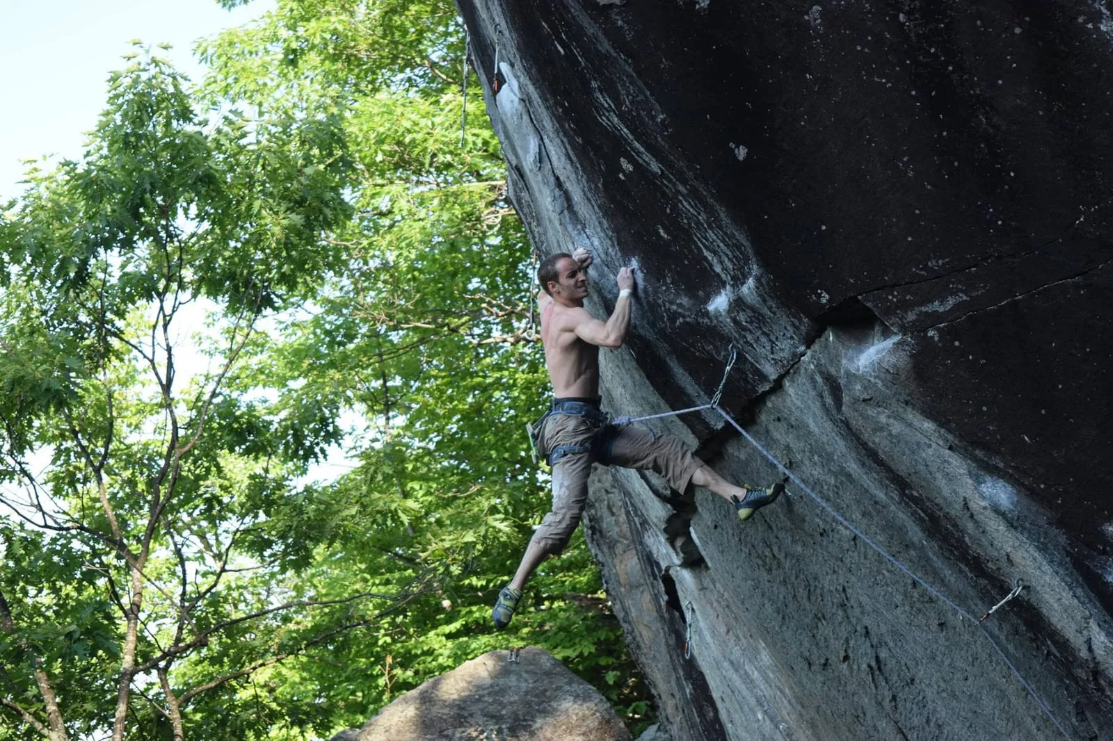 Climber on a steep overhanging sport route in the forest