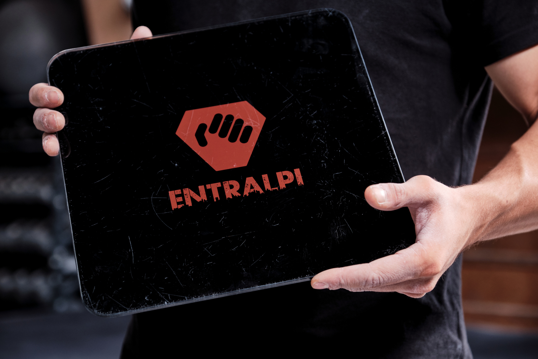 Entralpi Plate
